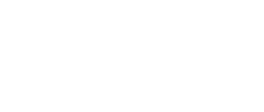 Velocity Bike Transport